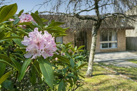 Wentworth Rose - Taree Accommodation 2