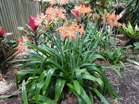 Winston Cottage - Taree Accommodation 2