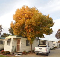 Wodonga Caravan  Cabin Park - Taree Accommodation