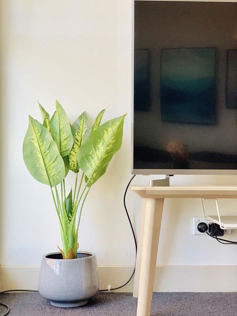 ZEN Homes On Collins - Taree Accommodation 3