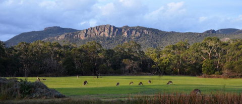 A Boat In The Grampians - Taree Accommodation 0