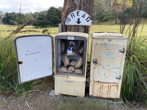 Adina Tiny House Bruny Island - Taree Accommodation 3