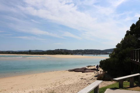 ADS On Collins - 4 Bedroom And Pet Friendly - Taree Accommodation 1