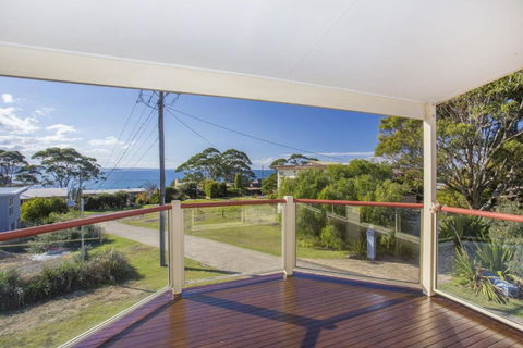 Aidan - Taree Accommodation 0