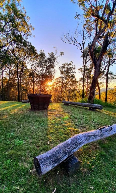 Allawah Bush Retreat - Taree Accommodation 1