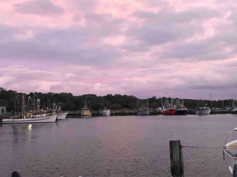 Aloha Iluka! - Taree Accommodation 1
