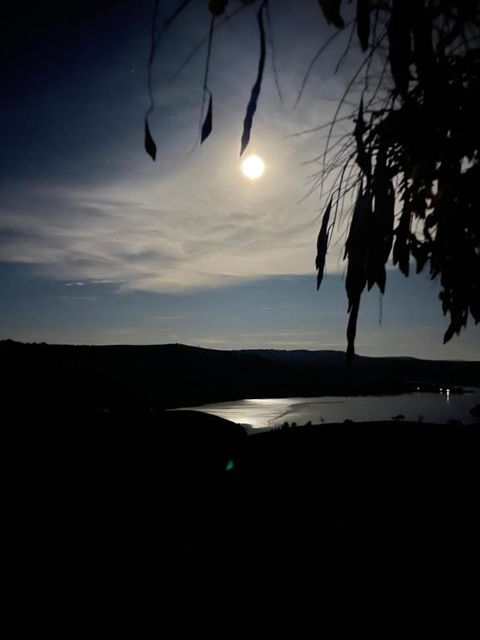 Amazing Views Pet Friendly Bed And Breakfast - Taree Accommodation 1