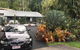 Ancient Gardens Guesthouse & Botanical Gardens - thumb 2