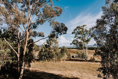 Apple Tree Cottage - An Idyllic Country Reset - Taree Accommodation 1