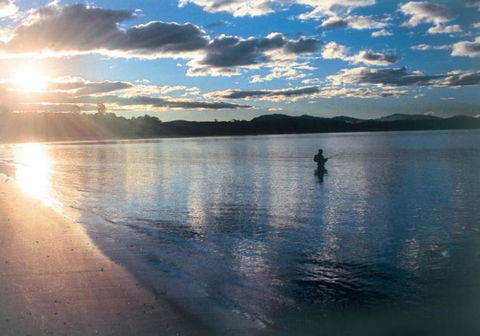 Aquarius Batehaven - Taree Accommodation 4