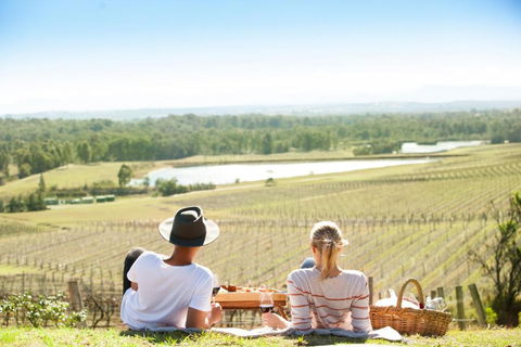 Audrey Wilkinson Vineyard - Taree Accommodation 0