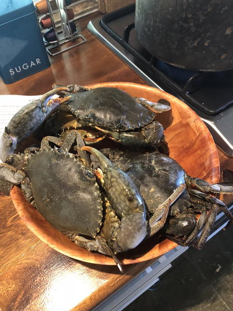 Cairns Beach House Our Oasis - Taree Accommodation 4