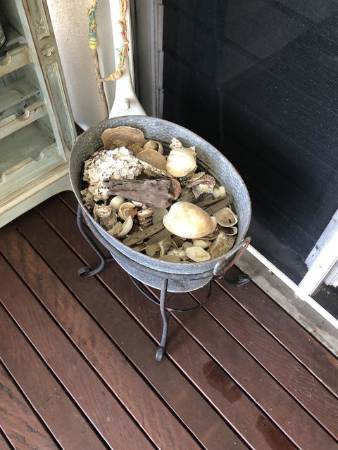 Cairns Beach House Our Oasis - Taree Accommodation 38