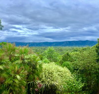 Daintree Manor BB - Taree Accommodation