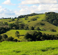 Maleny Springs Farm - Taree Accommodation