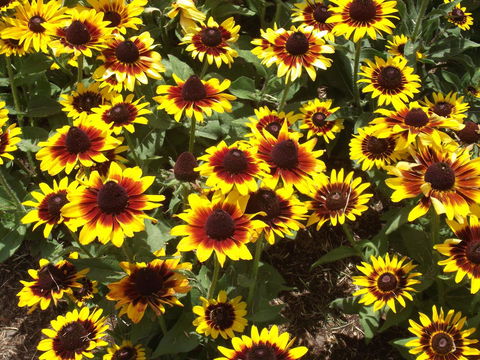 Eastgate On The Range Motel - Taree Accommodation 16