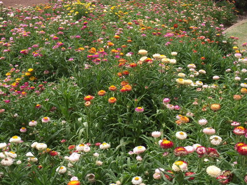 Eastgate On The Range Motel - Taree Accommodation 37