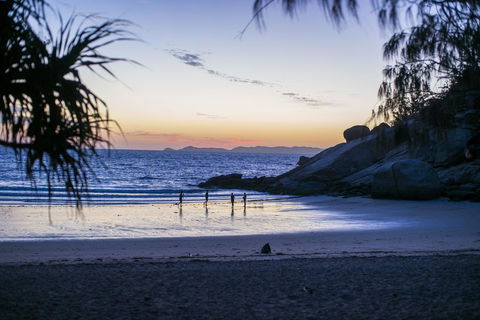 Roamer Magnetic Island Koala Park - Formerly Selina Magnetic Island - Taree Accommodation 16