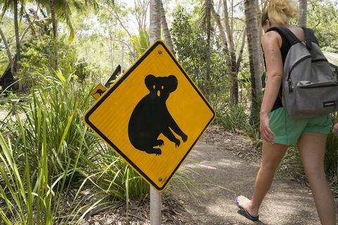 Roamer Magnetic Island Koala Park - Formerly Selina Magnetic Island - Taree Accommodation 27