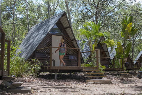 Roamer Magnetic Island Koala Park - Formerly Selina Magnetic Island - Taree Accommodation 5