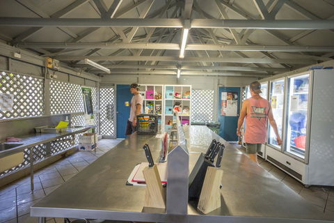 Roamer Magnetic Island Koala Park - Formerly Selina Magnetic Island - Taree Accommodation 28