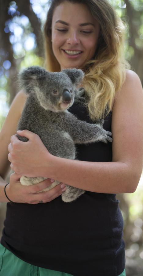 Roamer Magnetic Island Koala Park - Formerly Selina Magnetic Island - Taree Accommodation 12