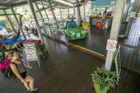 Roamer Magnetic Island Koala Park - Formerly Selina Magnetic Island - Taree Accommodation 19