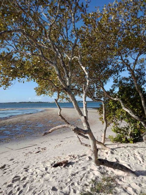 Modern Beach Villa - Taree Accommodation 15