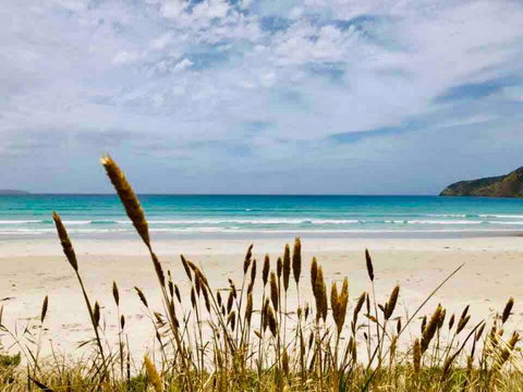 Modern Beach Villa - Taree Accommodation 14