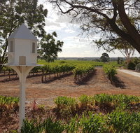 'In The Vines' Guest Cottage Barossa Valley - Taree Accommodation