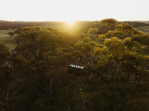 CABN Clare Valley - Taree Accommodation 4