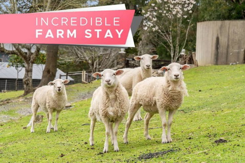 Carawatha On The Range - Unique Farm Stay - Taree Accommodation 0