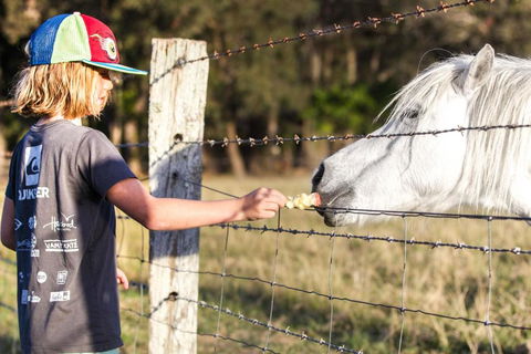Casa Del Mare - Farm Stay By The Ocean - Taree Accommodation 2
