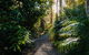 Chiltern Lodge Country Retreat - thumb 4