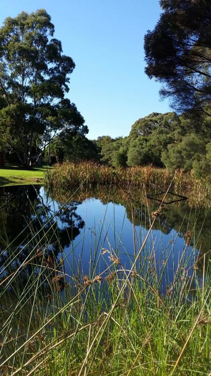 Crystal Springs Holiday Accommodation - Taree Accommodation 0