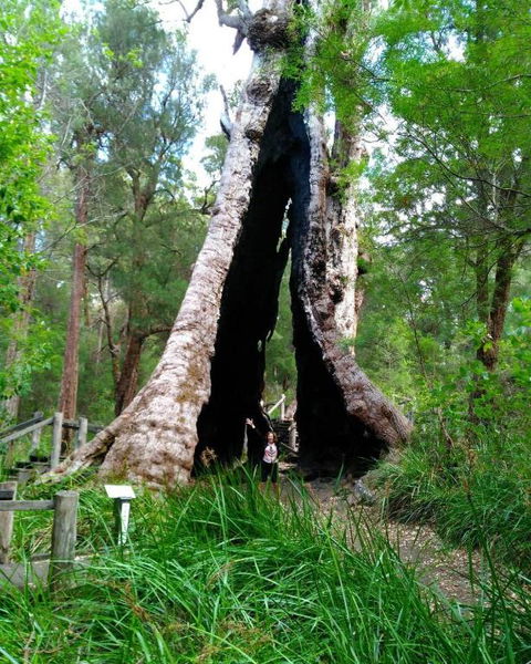 Crystal Springs Holiday Accommodation - Taree Accommodation 3