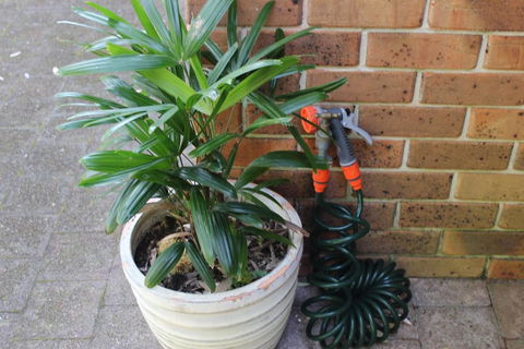 3 MELALEUCA - Taree Accommodation 2