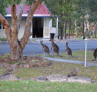 31 The Rocks - Taree Accommodation