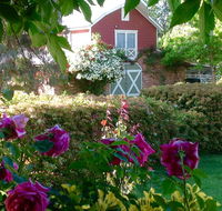 A Country Barn Retreat - Taree Accommodation