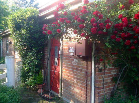 A Country Barn Retreat - Taree Accommodation 2