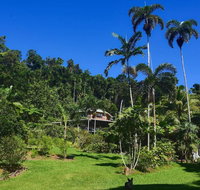 A Daintree Garden - Taree Accommodation