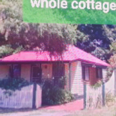Abelia Cottages Botanical - Taree Accommodation 3