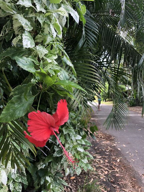 Absolute Beach Frontage, Family Friendly, Home Away From Home - Taree Accommodation 1