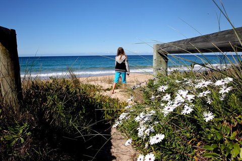 Absolute Beachfront Mollymook - Taree Accommodation 3