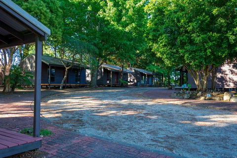Dorrigo Mountain Holiday Park - Taree Accommodation 2