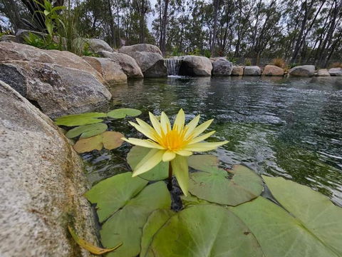Eureka Station Camping Retreat - Taree Accommodation 4