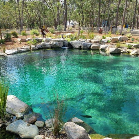 Eureka Station Camping Retreat - Taree Accommodation 1