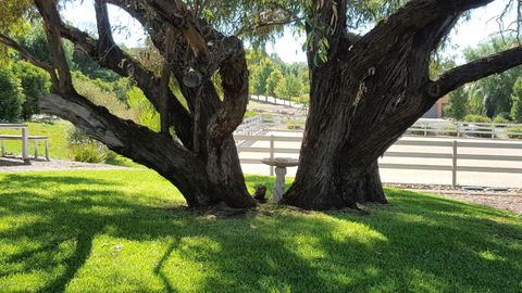 Equestrian Farm Stay - Taree Accommodation 0