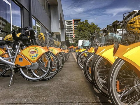 Experience More So Local - Taree Accommodation 2