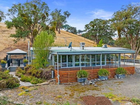 Golden Ash Grove Eco Farm - Taree Accommodation 0